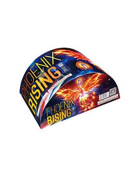 Phoenix Rising 500 Gram Fountains Magnus